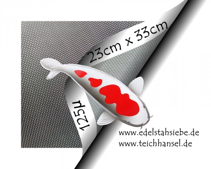 125µ Edelstahlgewebe 1.4401 - zum Schließen ins Bild klicken